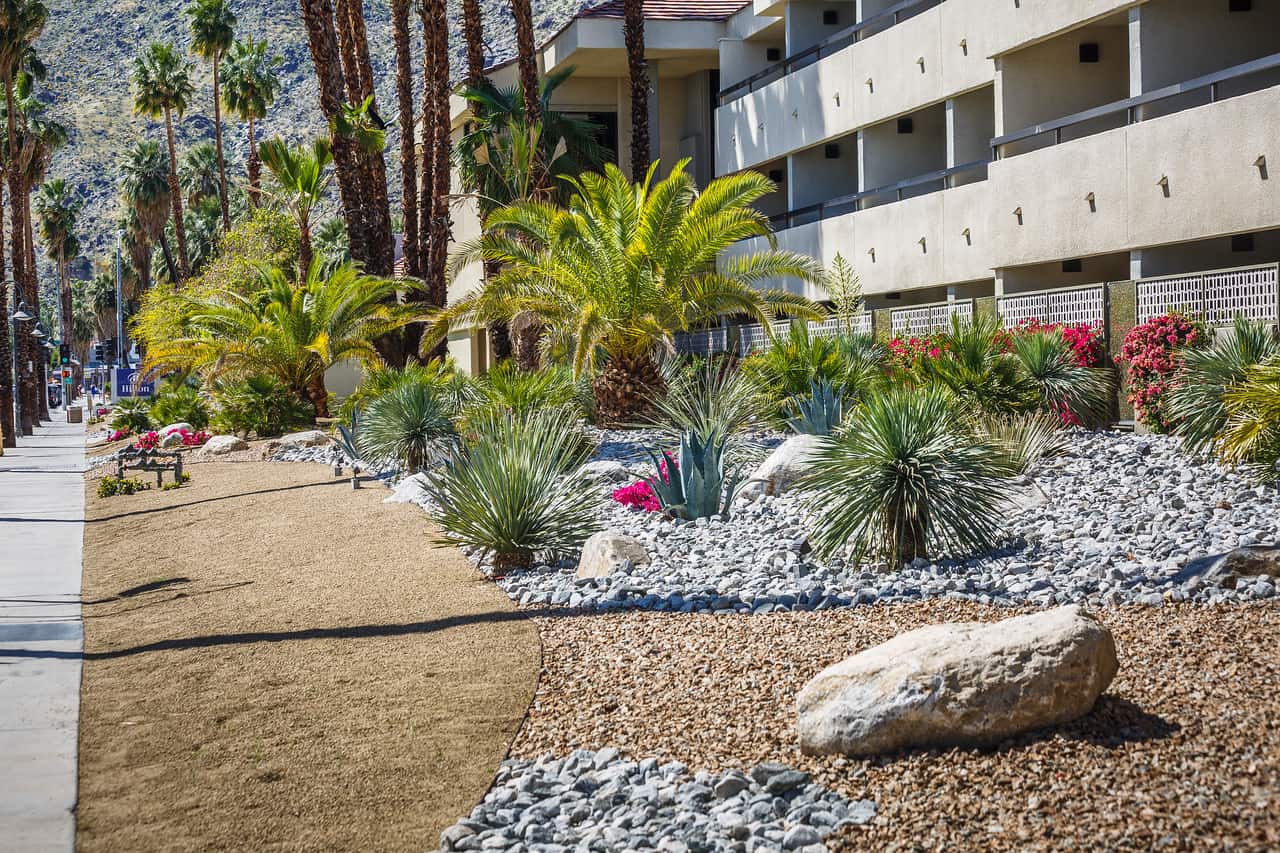 Palm Springs Hilton
